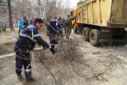 Во время проведения субботника