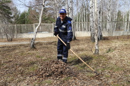 Во время проведения субботника