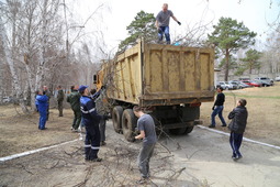 Во время проведения субботника