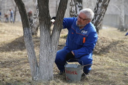 Во время проведения субботника